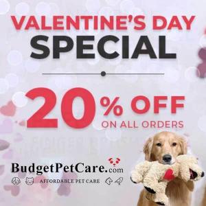 Valentine’s Day Sale: 20% Off All Orders
