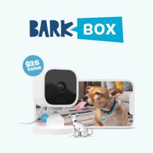 Free Blink Camera w/ Subscription ($35 Value)