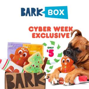 Cyber Week Sale: 80% Off Your First Box