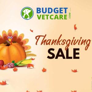 Thanksgiving Sale: 20% Off on All Orders