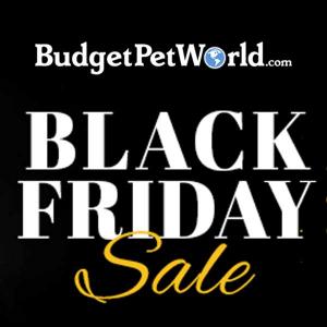 Black Friday Sale: 20% Off