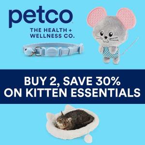 Buy 2, Save 30% Kitten Essentials