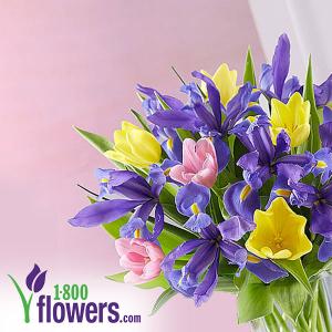 Save 20% on Truly Original Flowers & Gifts w/ Exclusive Code