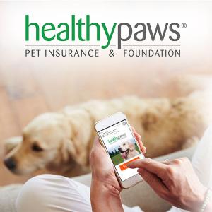 Save Up to 90% on Vet Bills + Get Up to 5% Off Premium Pet Insurance